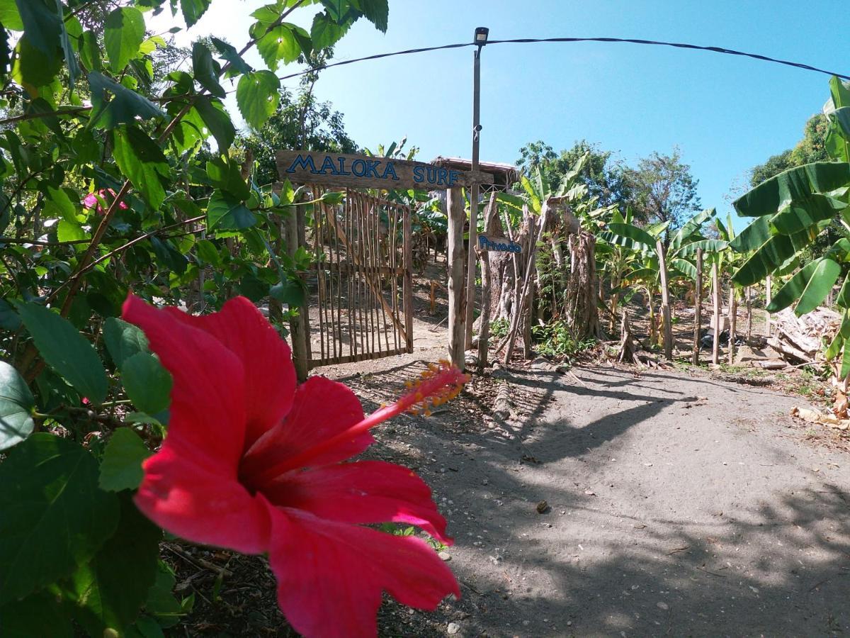 Private Beach House Maloka Surf Puerto Limon Exteriör bild